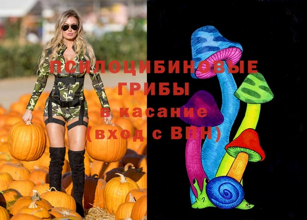 spice Алексин