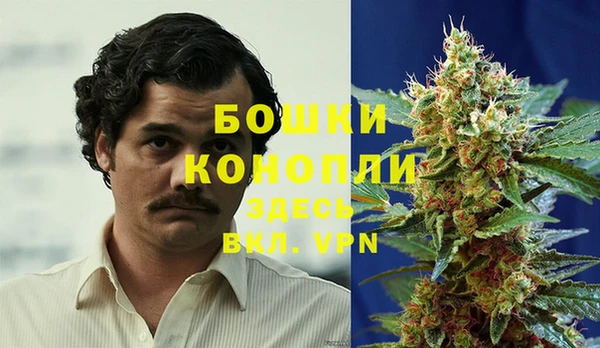 spice Алексин
